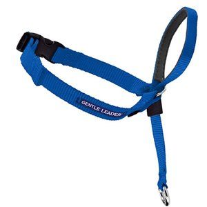 Gentle Leader Headcollar, No-Pull Dog Collar Blue Large 60-130 pound dog